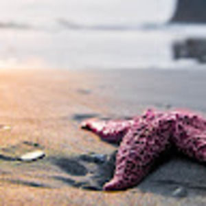 Meet your Posher, Tabitha